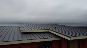 Best Flat Roofing  in Altamont, TN